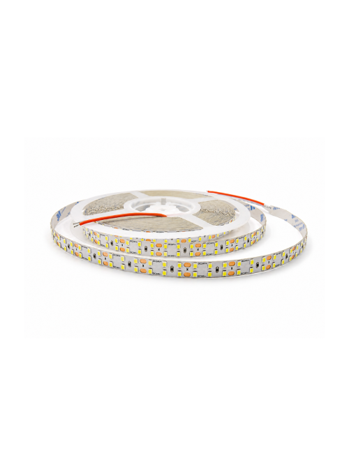 Napan Lux - Striscia LED SMD 2835 240 LED/m 20W/m 6000K 10 Metri