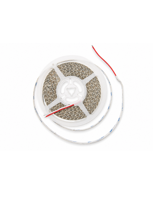 Napan Lux - Striscia LED SMD 2835 240 LED/m 20W/m 6000K 10 Metri
