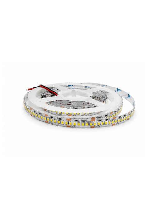 Napan Lux - Striscia LED SMD 2835 240 LED/m 18W/m 3000K 5 Metri
