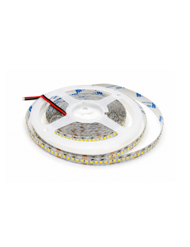 Napan Lux - Striscia LED SMD 2835 240 LED/m 18W/m 3000K 5 Metri