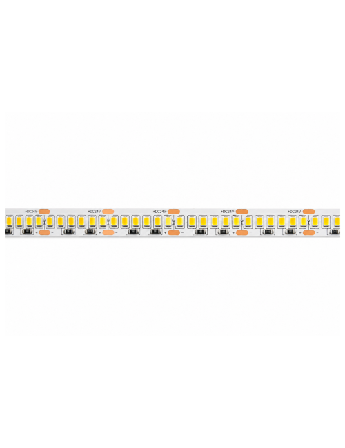 Napan Lux - Striscia LED SMD 2835 240 LED/m 18W/m 3000K 5 Metri