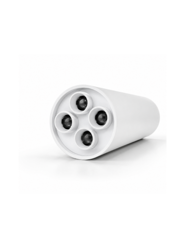 Napan Lux - Faretto LED da Soffitto Cilindrico Orientabile 4 Luci Bianco